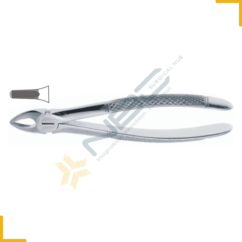 English Pattern Tooth Extracting Forcep Child Fig 37