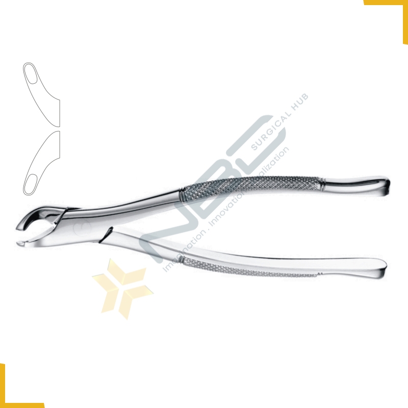 American Pattern Tooth Extracting Forcep Fig 203