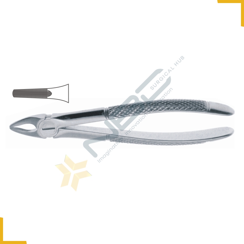 English Pattern Tooth Extracting Forcep Fig 29S